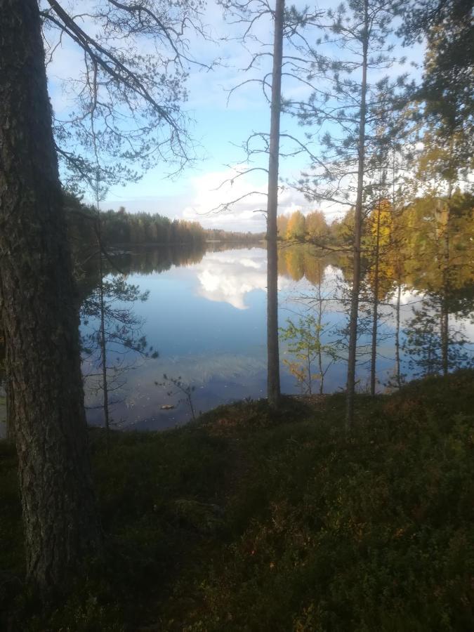 Tiirantuvat Villa Juankoski Eksteriør billede